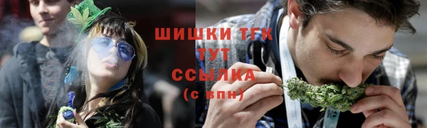 хмурый Козловка