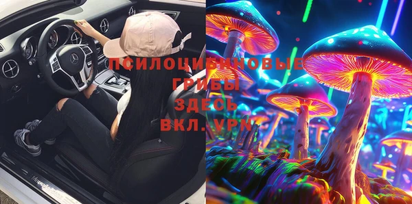 хмурый Козловка
