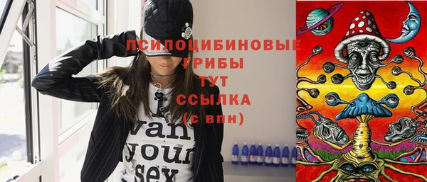 прущие крисы Кодинск