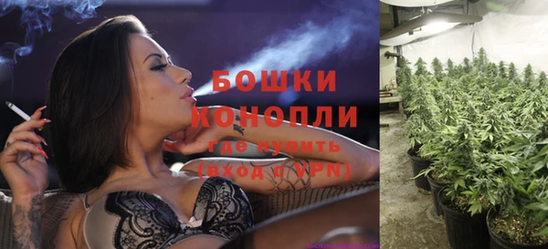 дурь Бронницы